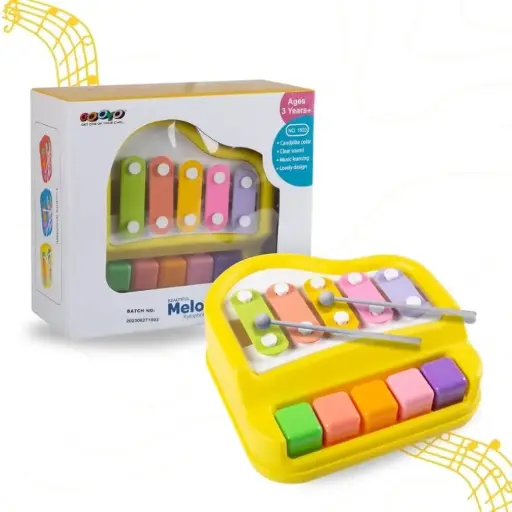 2 in 1 Baby Piano Xylophone Toy for Preschool Educational Musical Learning Instruments Toy for Baby Small Size
