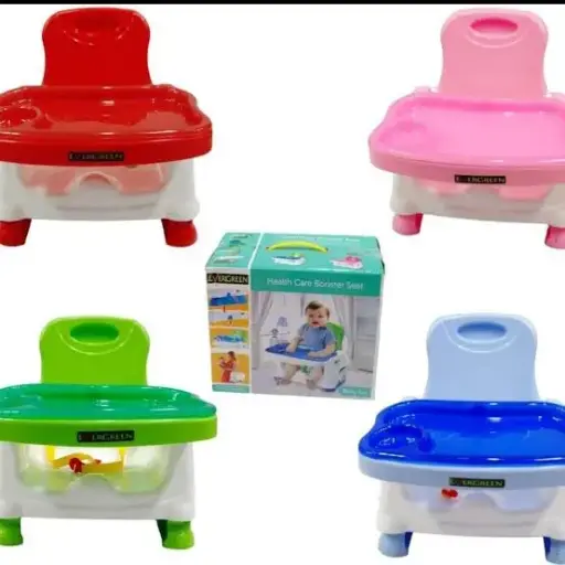 EverGreen Kids Booster Chair